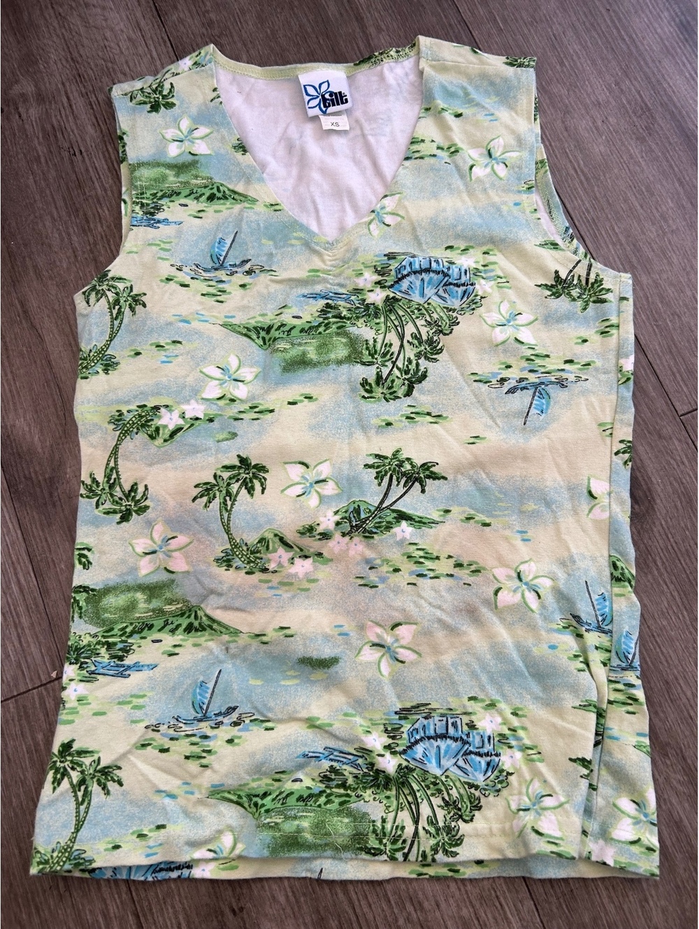 Vintage Indie 90s Coastal Tank Top